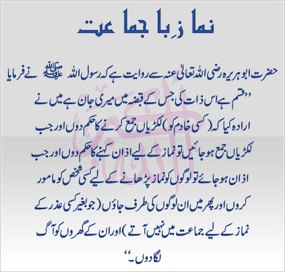 bayan