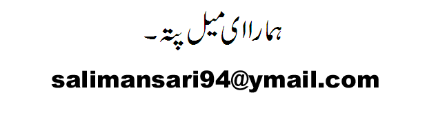 bayan